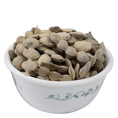 Image of YUVIKA Kikar Phali - Babool Phali - Acacia Nolotica 200 Grams
