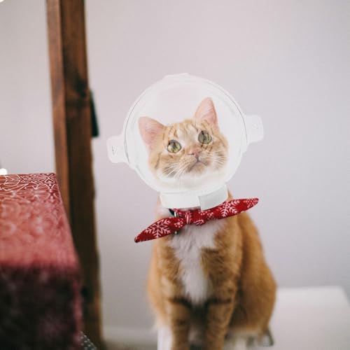Capucha transparente para gatos accesorio respirable de protección multiusos anti morder 5