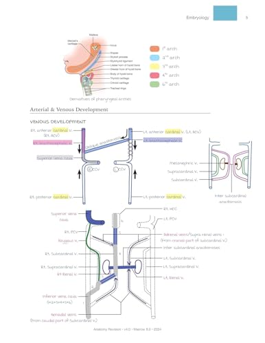 Image of EDITION-8 MARROW RAPID REVISION NOTES HD COLOURED PRINT LATEST EDITION 2024-2025