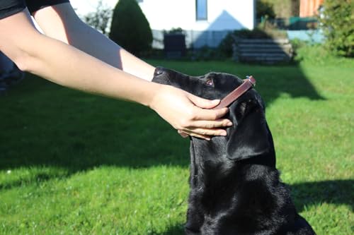 Activity4Dogs Zugstopp-Halsband mittelgroße Hunde Echt-Leder geflochten - L (Kopfumfang bis 55 cm)
