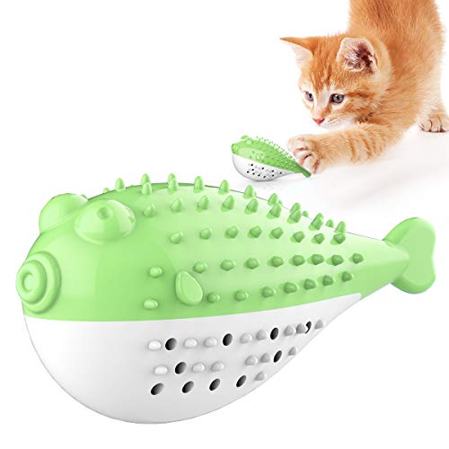 cat toothbrush toy