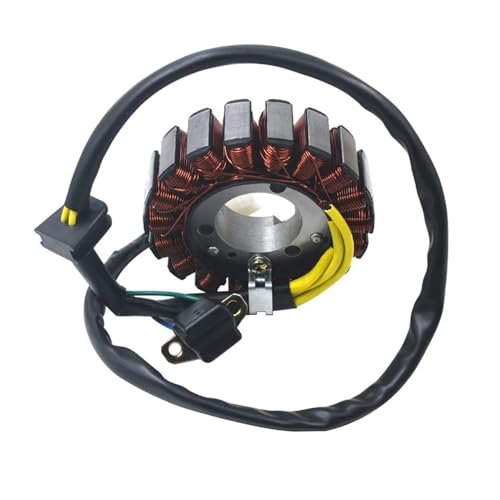 Kit d'assemblage de bobine de stator de générateur de moto GT250 GTR250