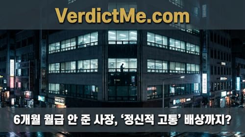 6개월 월급 안 준 사장, &lsquo;정신적 고통&rsquo; 배상까지? Podcast Por  arte de portada