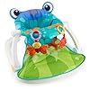 Fisher-Price Portable Baby Chair, Sit-Me-Up Floor Seat with Teething-Toy and Crinkle-Toy Butterfly, Froggy Seat Pad