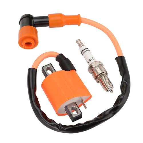 WOOSTAR Bobinas de Encendido Moto con D8TC Bujías Reemplazo para 4 Tiempos 125cc 150cc 200cc 250cc ATV 4 Wheeler Dirt Bike Go Kart Ciclomotor Scooter