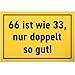 DankeDir! Sechundsechzig wie 33 - Schild 30 x 20 cm - 66. Geburtstag Geschenk 66er 66 Jahre Geburtstagsgeschenk Männer & Frauen - Partydeko Geburtstagsdeko Geschenkidee Geburtstagskarte