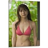 ポスター傳谷英里香下着セクシー写真アートパネル8 アートパネル キャンバス 壁アート モダン部屋飾り 版画 壁の絵 インテリア ホームアートワーク12x18inch(30x45cm)