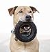 Mammoth TireBiterII – Natural Rubber Dog Toys for Extreme Chewers – Dog Toys for Extra Long Interactive Play – Aggressive Chewer Toys for Medium - Large Dogs - Large 6”