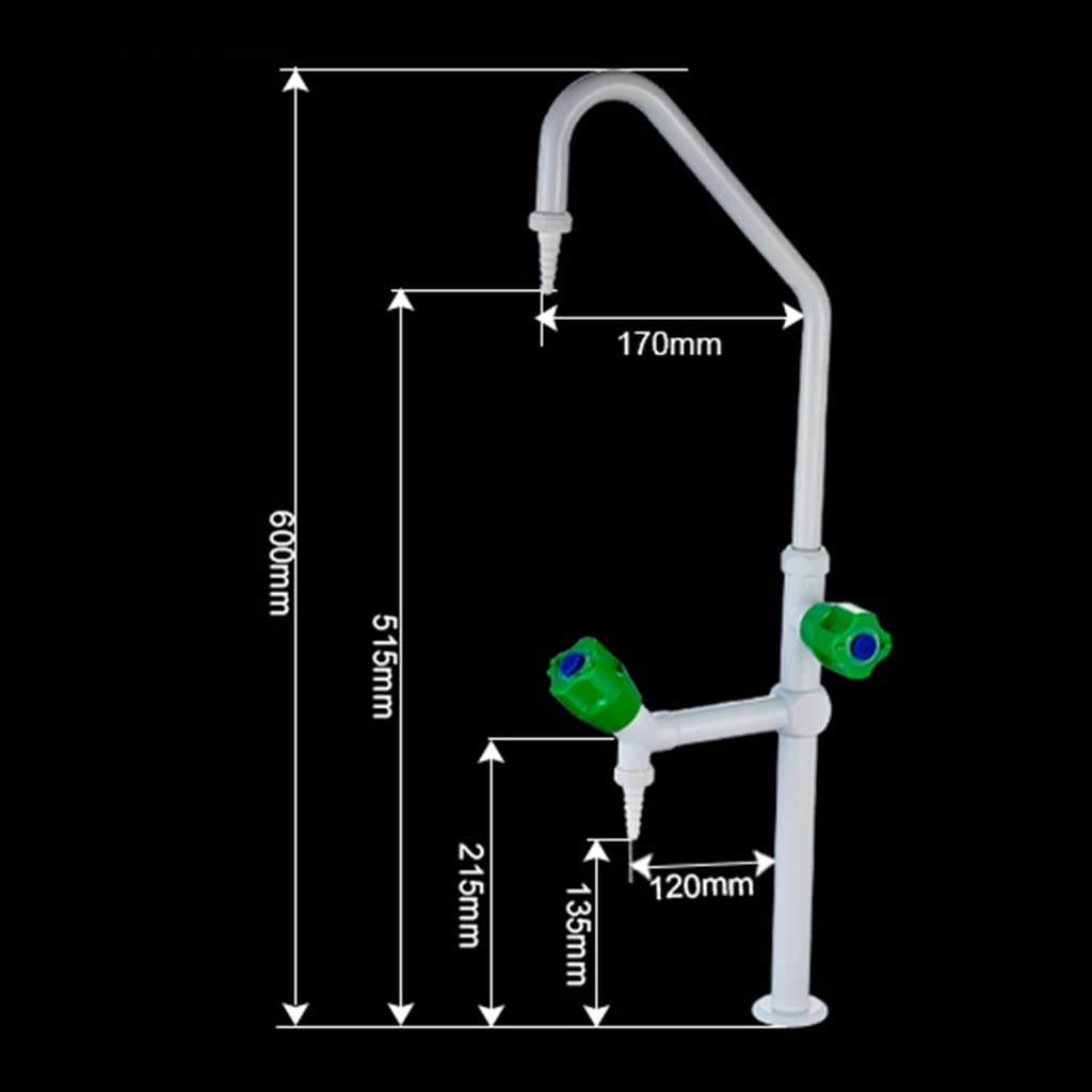 Instrumentos De Laboratorio De Quimica En Ingles Y Español, De