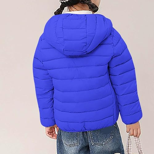 wodceeke Girls Winter Coats Down Puffer Jacket with Hood Kids Lightweight Packable Hooded Padded Warm Outwear 3-16 Years3