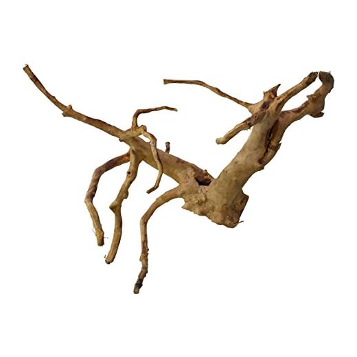 Reptiles Planet Desierto Drift Madera para terrario, tamaño Mediano, 30 – 40 cm