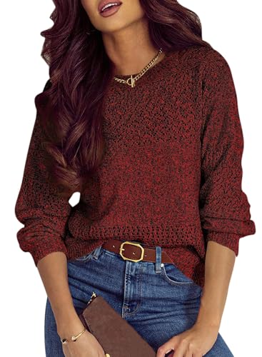 Image of SHEWIN Women's Sweaters Casual Long Sleeve V Neck Crewneck Lightweight Crochet Pullover Sweater Tops