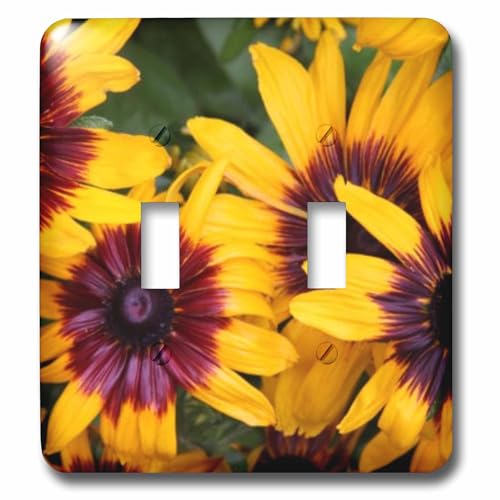 Interruptor doble de girasoles placa decorativa rústica 3dRose 2