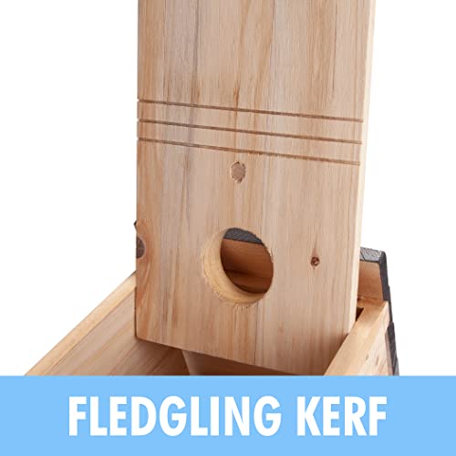 image for CARTMAN 0.5 Inch Thick Blue Bird Box House, Wood Bird Houses for Outsi