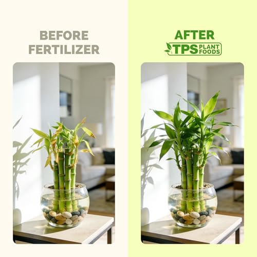 Fertilizante líquido Lucky Bamboo 8 oz miniatura 3