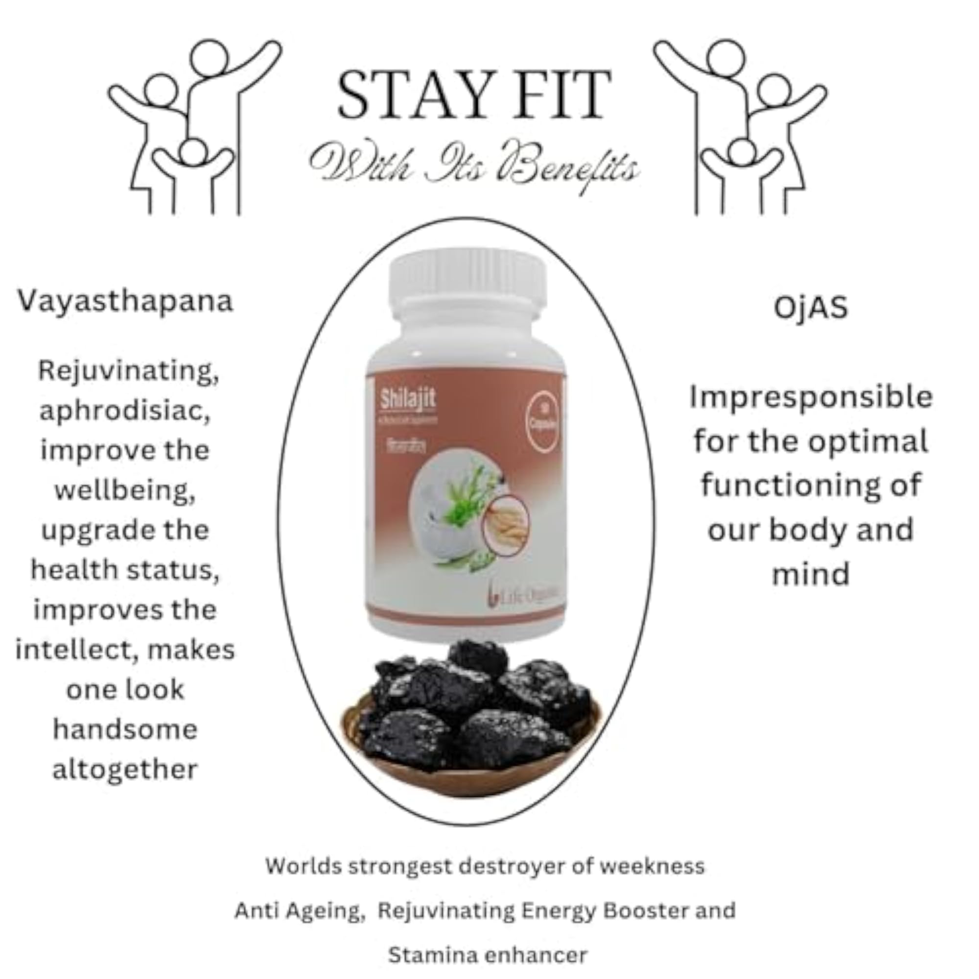 Shilajit Energy Capsules with Pure Shilajit