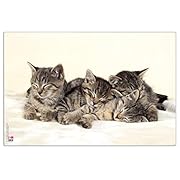 VELOFLEX 4651114 - Подложка за бюро за котки, 40...