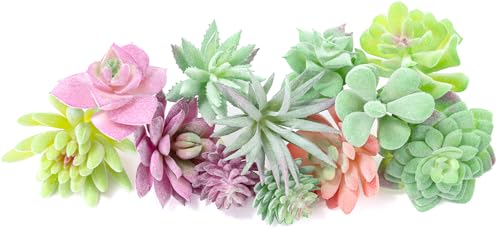 WOHSEROM 12 Pack Realistic Flocked Artificial Succulents, Faux Plastic Succulents Mini Fake Plants...