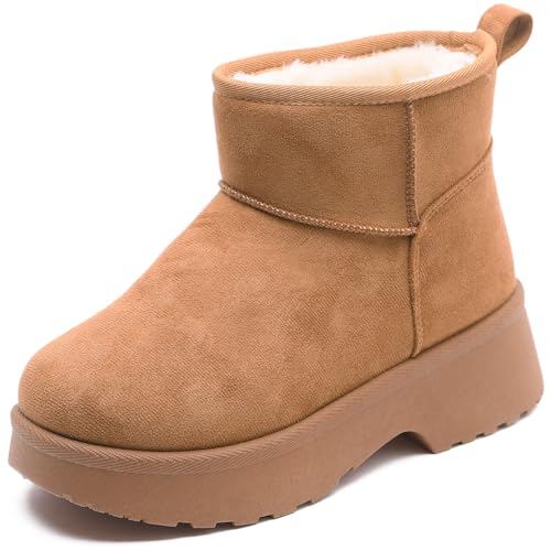 [gu[c fB[X  t@[ N V[gu[c h g ₷ ɂ y y L M