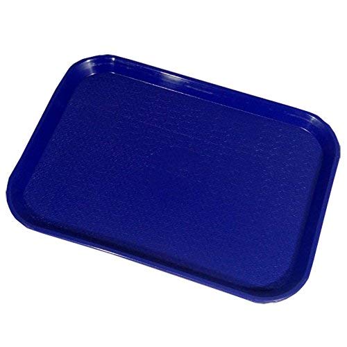 Urmila Plastic® Serving Tray Platter Rectangular Shape Plastic Trays for Drink Breakfast Tea Dinner Coffee Salad Food for Dinning Table Home Kitchen 11x14 Inches Blue (B082M48X1X) Amazon Price History, Amazon Price Tracker