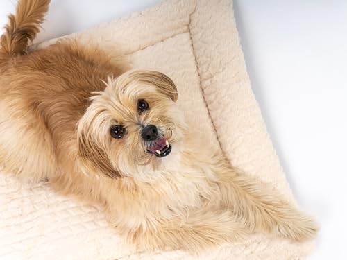 TrendPet Hundedecke Heaven gefütterte Liegedecke, Wendedecke für Hunde und Katzen, Beige