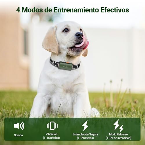 Collar de entrenamiento 2 Imagen adicional