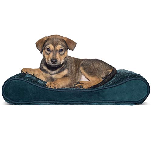 Furhaven Small Orthopedic Dog Bed Minky Plush & Velvet Luxe Lounger W/ Removable Washable Cover - Spruce Blue, Small #TOP22