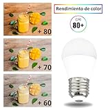 Zoom IMG-2 jandei confezione da 10 lampadine Zoom IMG-2 jandei confezione da 10 lampadine