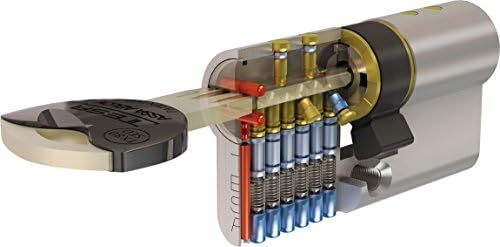 Tesa Assa Abloy TX80 TX853030N - Cilindro de Alta Seguridad, Doble Embrague, Leva Larga, Llave, Niquelado, 30 x 30 mm