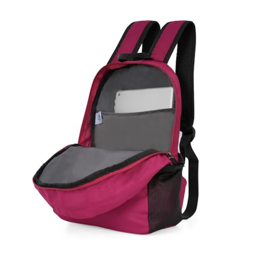 Image of United Colors Of Benetton 12 Litres Citron Unisex 3 Compartment Backpack (Wine)
