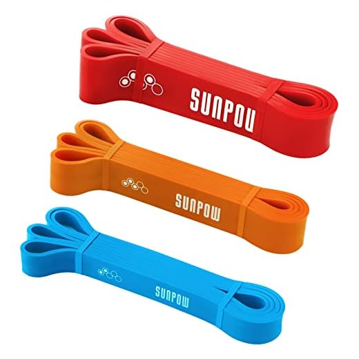 SUNPOW Pull Up Assistance Bands - Set of 3 Resistance Heavy Duty Workout Exercise Crossfit Stretch Fitness Bands Assist Set for Body, Instruction Guide and Carry Bag Included