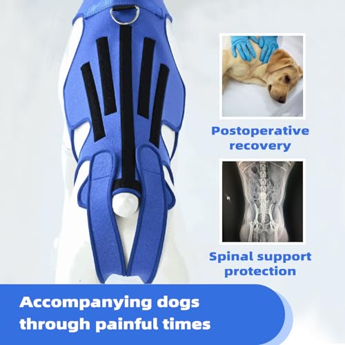 Image of Dog Back Brace for Dogs Arthritis, Dog Intervertebral Disc Protective, Dog Back Protective Brace Helps Pain Relief, Facilitate Surgical Recovery, Prevent Back Diseases in Dogs. (L)