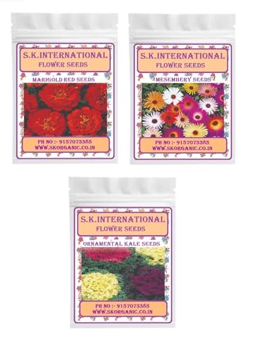 Image of Hybrid F1 Flower Seeds, Easy to Grow, Low Maintenance (Marigold Red-Mesembery-Ornamental kale)