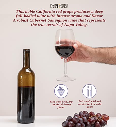Image of Craft A Brew - Cabernet Sauvignon Wine Recipe Kit - 1 Gallon - Ingredients for Home Brewing Wine - Wine Making Ingredients and Supplies