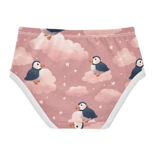 Wusikd Seagulls Girls' Underwear Cotton Clouds Stars Girls Briefs Soft Toddler Underwear 2T2