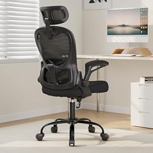 Office Chair Ergonomic Desk Chair, ...