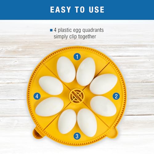 Brinsea Extra Large Egg Quadrant Insert for Maxi Advance Incubator System, Fits 8 Goose-Size Eggs