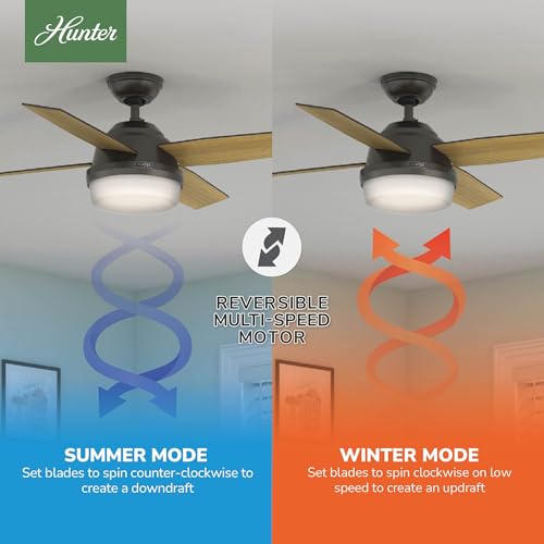 Image of Hunter Dempsey, Indoor, Ceiling Fan, Modern, 44 inch, Noble Bronze