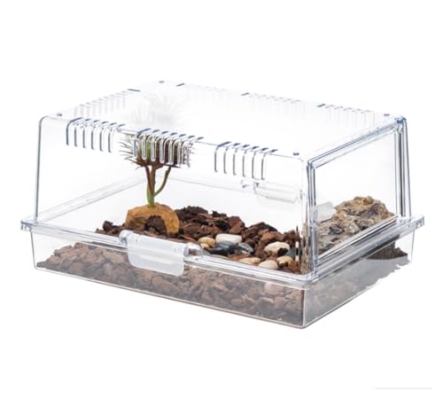 虫かご 爬虫類 ケージ クモテラリウム飼育箱昆虫容器プラスチック給餌箱 昆虫ケース 昆虫観察