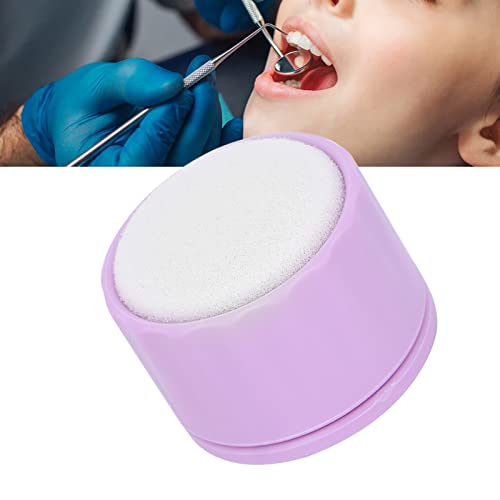 Endo File Clean Stand Dental Endo File Clean Stand Holder Recarga de Esponja para Limpeza de Arquivo