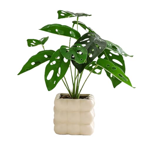 QIYAONUO人工観葉植物 フェイクグリーン 観葉植物 インテリア ミニ盆栽 フェイクグリーン 卓上 簡単世話いらず 水やり不要 陶器鉢 (マドカズラ(スクエア植木鉢))