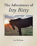 The Adventures of Itty Bitty