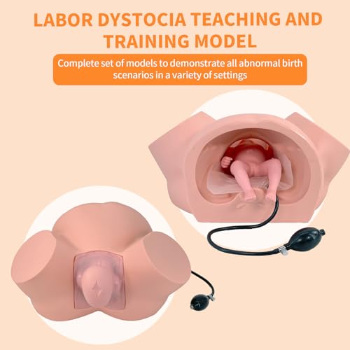 Image of Birth Midwifery Training Model Simulator, Life Size Childbirth Demonstration Obstetrics Gynecology Normal Abnormal Fetal Positions Delivery Maternity Manikin for Teaching Medical