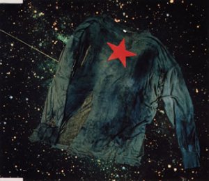 悲しみのぬけがら