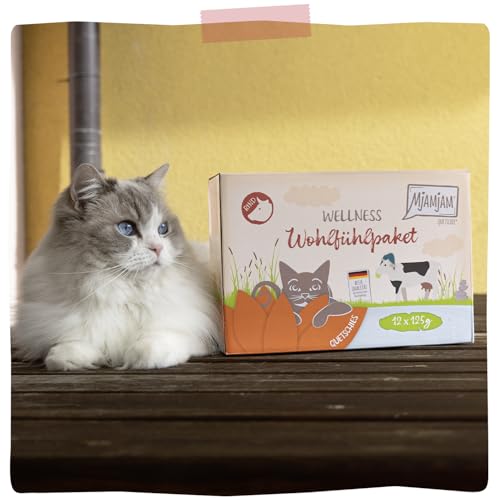 MjAMjAM – Premium Nassfutter für Katzen - Wellness Wohlfühlpaket Rind, 12er Pack (12 x 125g), getreidefrei mit extra Fleisch