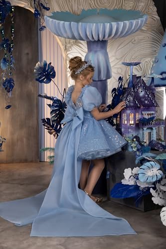 Short Mini Girl Pageant Dresses with Sequins Short Puffy Sleeves Scoop Neck Flower Girl Gowns3