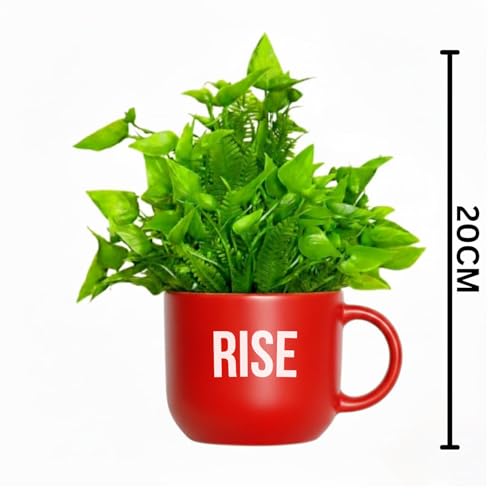 Image of Dekorly Colorful Wall-Mounted Mug Planters with Faux Greenery(20 CM)- Wall Decorative Pots for Vibrant Home & Office Decor| (3, Rise Shine Succeed)