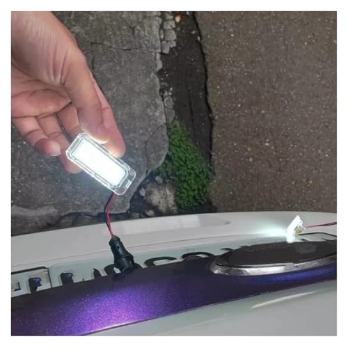 Auto luces matrícula LED Ford Escape 2013-2018 5