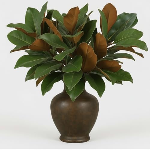 Suncalla Magnolia Leaves Branches