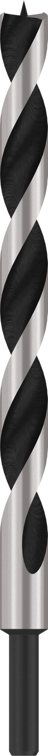 Bosch Bosch Professional Machine Wood Drill Bit with M-Tip (Ø 16 x 190 x 250 mm, Accessories Rotary Drills)